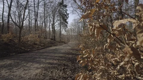 The Path Through Silence Video stock 330289614