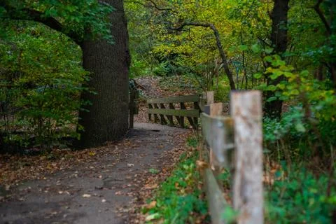 A path through a small forest near the village of Hude Stock Photos