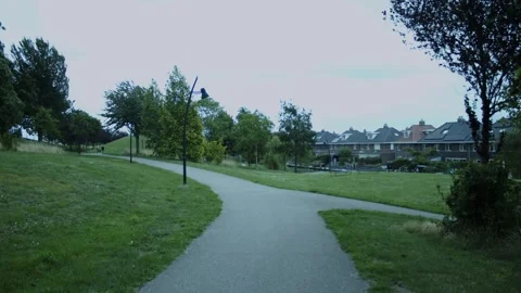 Path Through A Small Forest Next To Houses Video stock 247142856