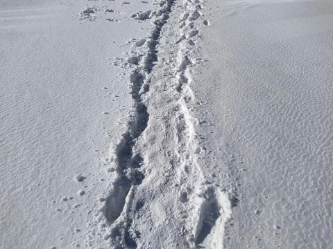 Path through the snow during the day. Stock Photos