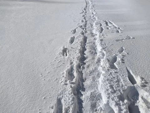 Path through the snow during the day. Stock Photos