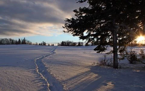 Path through the snow Stock Photos