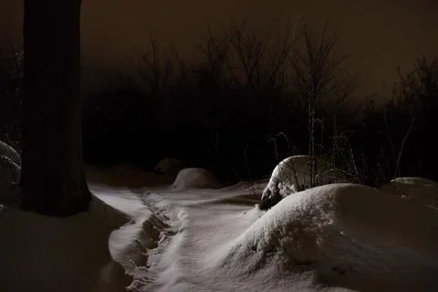 Path through snowy scene Stockfoto's