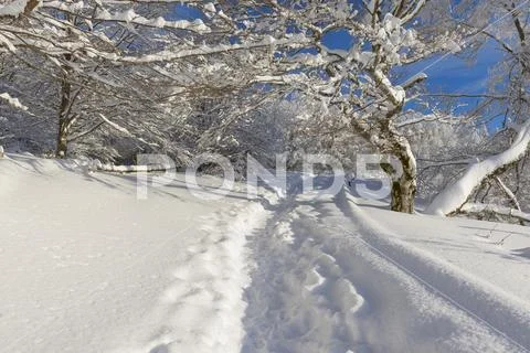 Path through snowy winter landscape, Schauinsland, Black Forest, Freiburg im Stock Photos