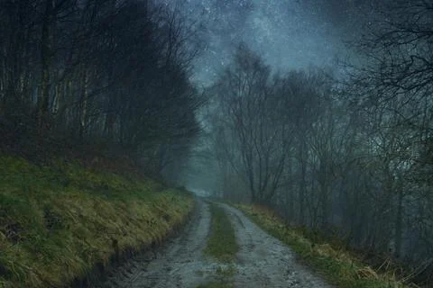 A path through a spooky magical forest in the English countryside Stock Illustration