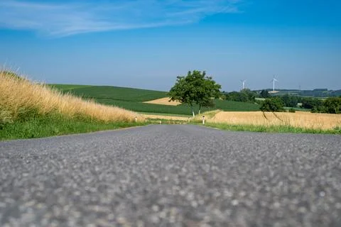 A path through summer fields. Photos