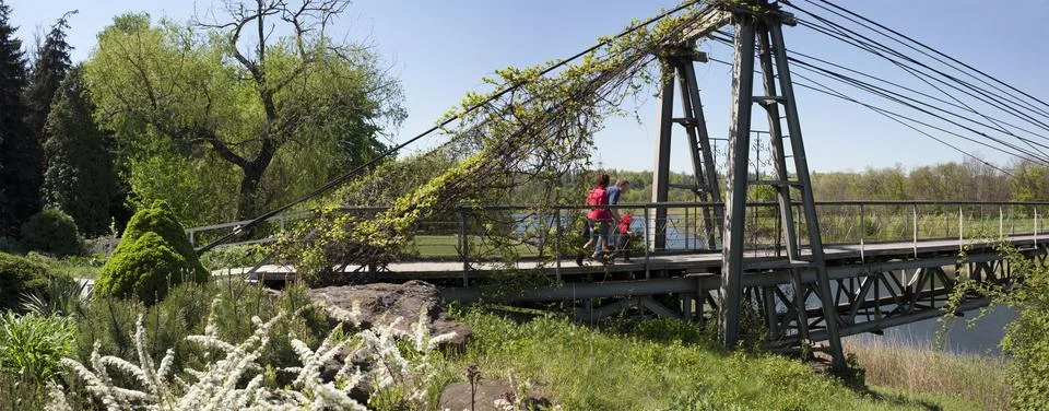 The path through the suspension bridge Stock Photos