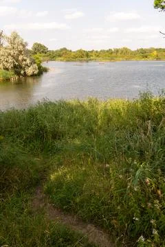 Path through tall grass leading to a reed-fringed lake with white birds nea.. Stock Photos