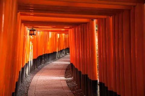 Path through torii gates Foto stock
