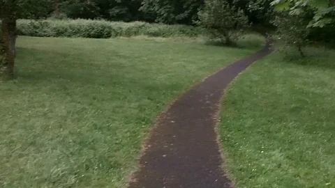 Path through the trees Stock Footage 99117500