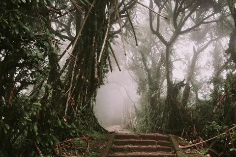 Path through the tropical forest, Mount Lempuyang, path to the Pura Lempuyang Stock Photos