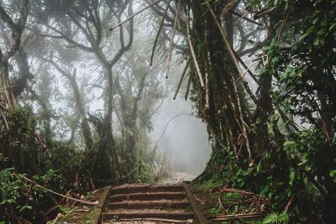 Path through the tropical forest, Mount Lempuyang, path to the Pura Lempuyang Stock Photos