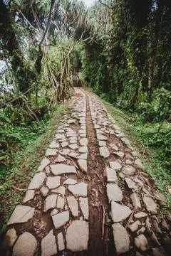 Path through the tropical forest, Mount Lempuyang, path to the Pura Lempuyang Stock Photos