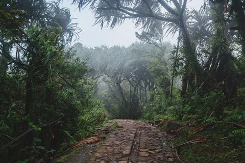 Path through the tropical forest, Mount Lempuyang, path to the Pura Lempuyang Stock Photos