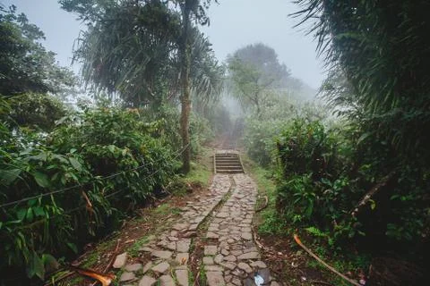 Path through the tropical forest, Mount Lempuyang, path to the Pura Lempuyang Stock Photos