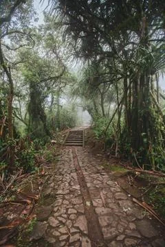 Path through the tropical forest, Mount Lempuyang, path to the Pura Lempuyang Stock Photos