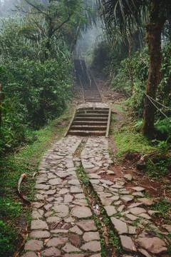 Path through the tropical forest, Mount Lempuyang, path to the Pura Lempuyang Stock Photos