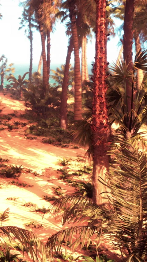 Path through a tropical landscape near the ocean in bright sunlight Stock Footage 341253796