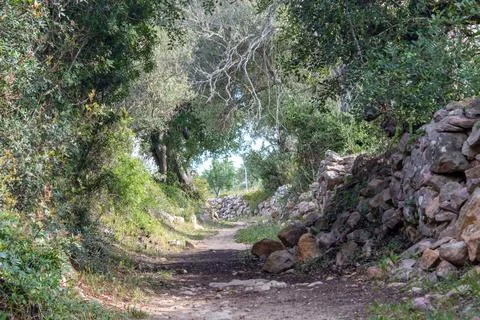 Path through Vale Encantado area in Guia Albufeira with rocky walls and trees Foto stock