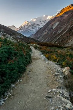 Path through a valley with sun illuminated mountains at dawn. Stock Photos