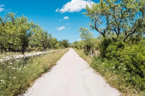 Path through the vegetation Stock Photos