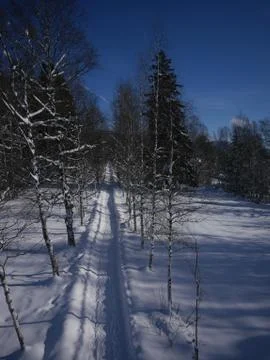 Path through winter landscape Stock Photos