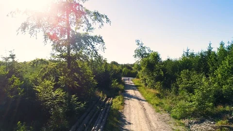 Path through the woods Aerial 4k Stock Footage 129351496