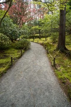 Path through woods Foto stock