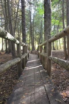 Path through the woods Stock Photos