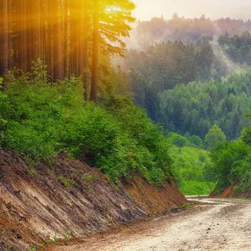 Path through the woods at sunset Stock Photos