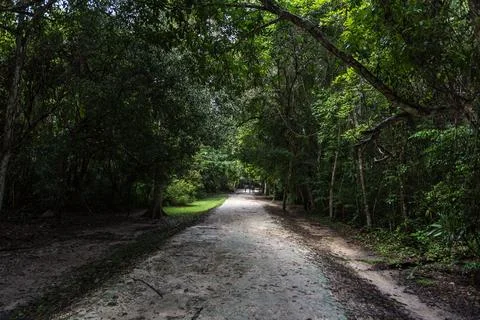 Path in Tikal Park. Sightseeing object in Guatemala with Mayan Temples and .. Stock Photos