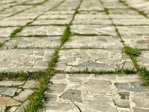 A path of tiles on the grass Stock Photos
