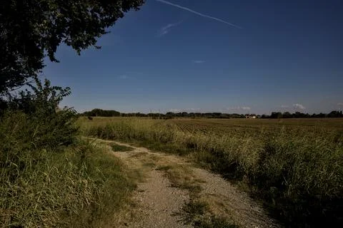 Path on the top of an embankment with fields below it at sunset Stock Photos