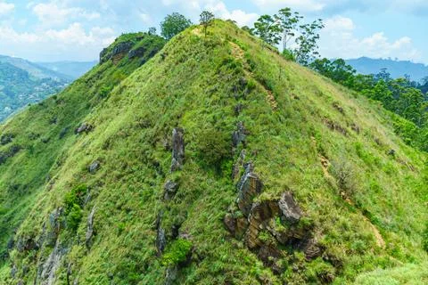 Path on top of a mountain with dense grass in Ella Stock Photos