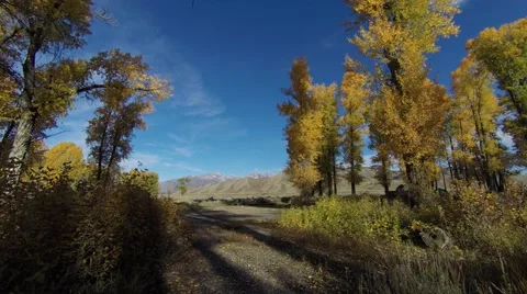 Path towards grand teton Stock Footage 42659699