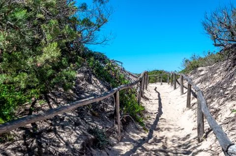 Path towards the sea through the beach Stock Photos