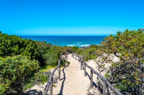 Path towards the sea through the beach Stock Photos