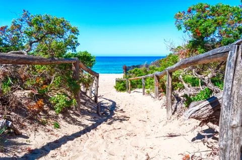 Path towards the sea through the beach Stock Photos