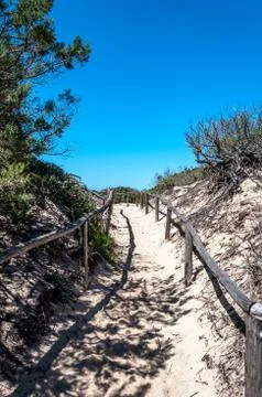 Path towards the sea through the beach Stock Photos
