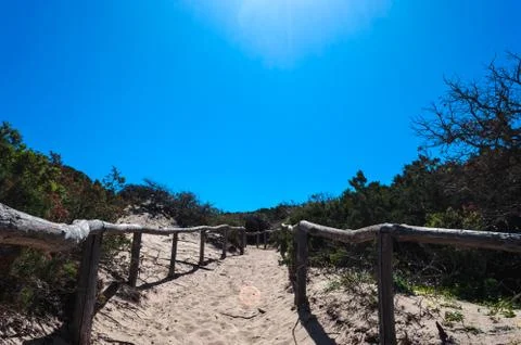 Path towards the sea through the beach Foto stock