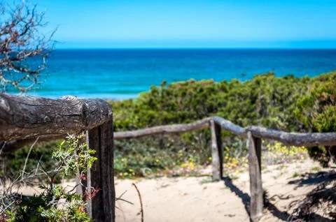 Path towards the sea through the beach Stock Photos