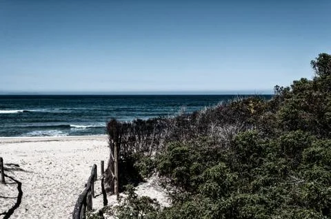 Path towards the sea through the beach Stock Photos