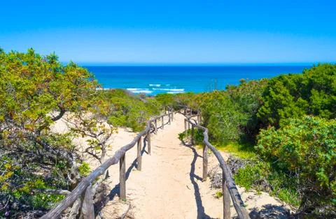 Path towards the sea through the beach Stock Photos