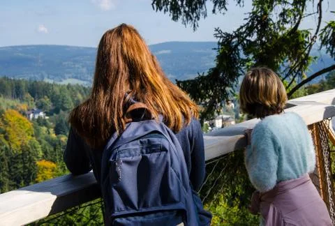The path in the tree crowns Foto stock