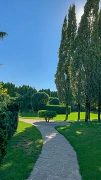 Path in a tree nursery Stock Photos