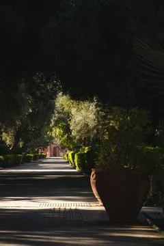 A path with trees and a large pot in the park. Stock Photos