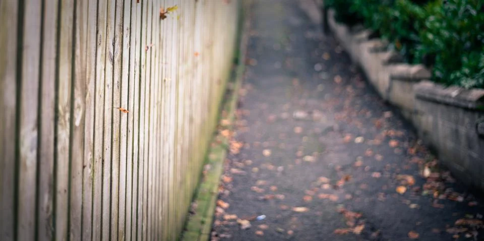 Path with trees on one side and a wooden fence on the other side Stock Photos