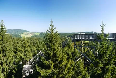 Path in the trees Stock Photos