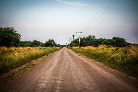A path with trees on the side of a dirt road Stock Photos