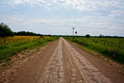 A path with trees on the side of a dirt road Stock Photos